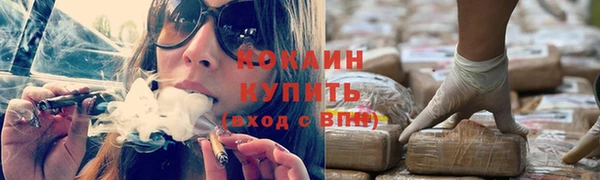 МДПВ Липки