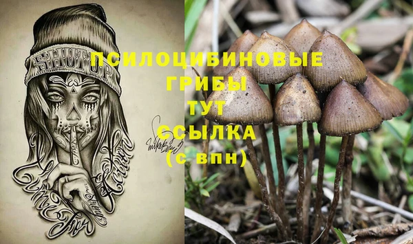 МДПВ Липки